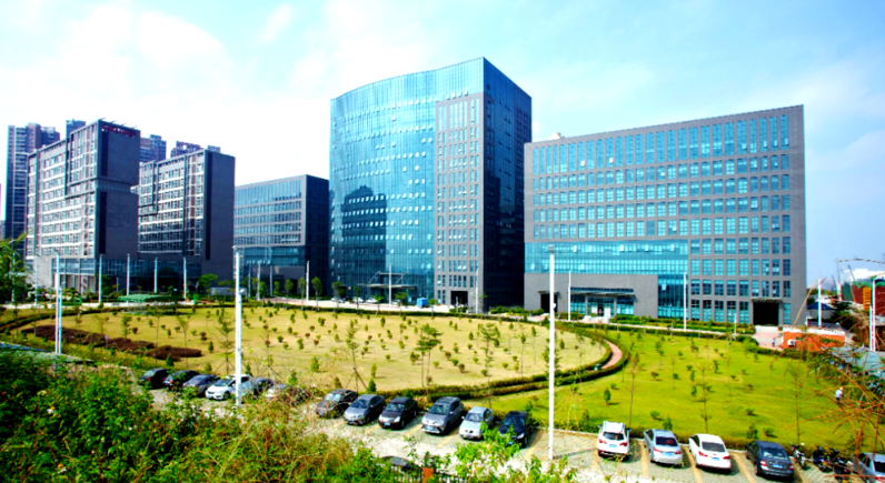 盒装礼品大米市场消费趋势与包装设计创新方向分析